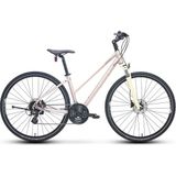 Carraro Sportıve 226 Kadın Şehir Bisikleti 406H Hd 28 Jant 24 Vites Mat Metalik Pembe Bej Mor - Çok Renkli
