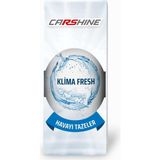 CARSHINE Klima Temizleyici 150ML