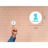 Casalinghi 3 cm (95 Adet) Mavi 1 Month Etiketi Puanlı Bir Aylık Yuvarlak Mat Çıkartma Bebek Cute Round Sticker