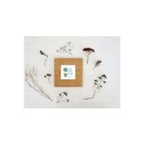 Casalinghi Hoş Geldin Bebeğim Etiketi Bebek Partisi Mat Çıkartma Çikolata Madlen Sticker 3.5 cm (45 Adet)