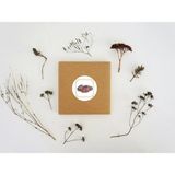 Casalinghi Hurma Etiketi Dates Yuvarlak Sticker Hajj Umre Mat Çıkartma Hediyelik 4 cm (40 Adet)