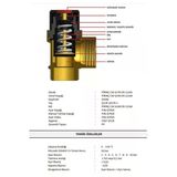 Case Emniyet Ventili 3/4'' - 8 Bar (07-2581)