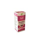 Casel İlaç Hud Devedikeni Sıvı Ekstresi 100Ml - Milk Thistle Liquid Extract