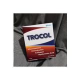 CASEL İLAÇ Trocol Glukozamin Kondroitin Kolajen 60 Saşe (300 Gr)