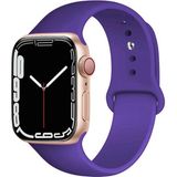 CaseWorld Apple Watch 2/ 3/ 4/ 5/ 6/ 7/ 8/ Se Uyumlu Kayış 38/ 40/ 41mm Yumuşak Renkli Silikon Large Kordon - Mor