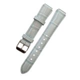 Casio LTP-2069L Yeşil Orijinal Deri Saat Kordonu