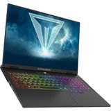 Casper Excalibur G915.240H-DQ60X-C Core 7 240H 32GB 1tb 8gb RTX5060 165Hz 16\" Freedos Notebook - 1 GB