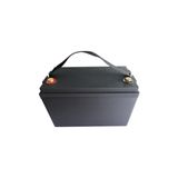 Castelları Tornado Carbon L V3 Zeytin Silkeleme Makinası Lifepo4 Batarya 12 Volt 42 Ah