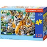 Castorland 120 Parça Dere Kenarındaki Kaplanlar Çocuk Puzzle