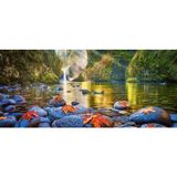 Castorland 600 Parça Steamy Mornings Puzzle
