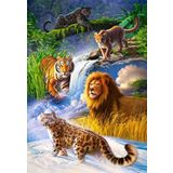 Castorland Büyük Kediler 1000 Parça Puzzle