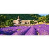 Castorland Notre Dame de Senanque France 600 Parça Puzzle