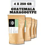 Castro Guatemala Maragogype Kahve 1000 Gr. (4X250GR) - Öğütülmüş Espresso - 1 kg