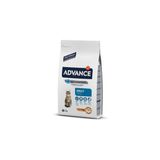 Cat Adult Chicken & Rice 3 Kg Kedi Kuru Mamasi