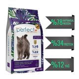 Cat Az Tahıllı/Düşük Tahıllı Kısırlaştırılmıs Somon Balıklı Kedi Maması 10 Kg