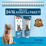 Cat Food Energy Yetişkin Kedi Malt Paste 100 G - 24 Adet