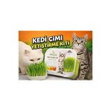 Cat Grass Kit Kedi Çimi – Evde Kolay Yetiştirme – Doğal Kedi Otu