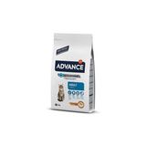 Cat Tavuklu Pirinçli Yetişkin Kedi Maması 3 Kg