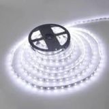 Cata 10 Çip Şerit Led Dış Mekan Beyaz Ct-4487 -5 Metre