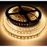 Cata 10 Çipli 5 Metre Gün Işığı Renk Iç Mekan Şerit LED (CT-4481)(PİLLİ DEĞİL)(12V Trafo ile Çalışır) - Beyaz - Kırmızı - Mavi