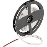 Cata 10 Çipli Dış Mekan Silikonlu Şerit Led-5m (Beyaz) CT-4487