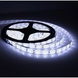 Cata 10 Çipli Iç Mekan Beyaz Renk 10 Metre Şerit LED + 12,5 Amper LED Trafosu - 6500K - Beyaz Işık