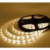 Cata 10 Çipli Iç Mekan Gün Işığı Renk 10 Metre Şerit LED + 12,5 Amper LED Trafosu - 3000K - Günışığ