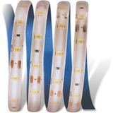 Cata 10 Çipli Şerit LED Dış Mekan 12 V Gün Işığı 4488G (1 METRE)