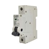 Cata 1X10AMPER W Otomat Monofaze Sigorta CT-9611