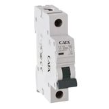 Cata 1X2a C 4.5Ka W-Otomat Sigorta Monofaze Tek Fazlı W Otomat Sigorta ( 2 Amper Kombi Sigortası)
