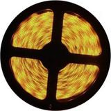 Cata 240 Çipli Şerit LED Amber 5mt/adet Cat CT-4538