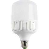 Cata 25W LED Ampul(Beyaz) Torch Cat CT-4330B - 20 - 30 W