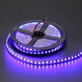 CATA 3 Çipli Şerit LED İç Mekan, Mavi, 5 m