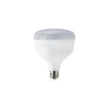 Cata 4 Adet CT 4125 Kristal Led Torch Ampul 25W 6400K Beyaz Işık E27 Duy