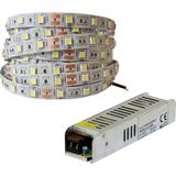 Cata 4040 Yeni Nesil 10 Çipli 25 Metre Şerit LED + 30 Amper 360W Trafo - Gün Işığı