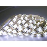 Cata 5 Metre On Çip Slikonlu Şerit Led Dış Mekana Uygun Beyaz (472531627)