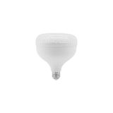Cata 55 Watt E27 Duylu Kristal Torch LED Ampul CT-4155