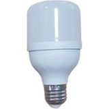 Cata Aybekon T-4329 Cata 15 W LED Ampul Günışığı 3200K E27 Duy 2/4/5/8/10 Adet