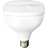 Cata CT-4145 45W Kristal Camlı Torch LED Ampul E27 Duy 6400K Beyaz Yüksek Lümen