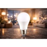 Cata CT-4177B 10W LED Ampul (E-27)(Günışığı) - 8 - 10 W - Gün Işığı