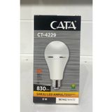 Cata Ct-4229 Ampul 2 Adet