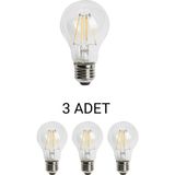 Cata CT-4231 Edison LED Ampul 6W Günışığı - 3’lü Paket - RGB
