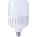 Cata CT-4242 45 W Torch 6400K Beyaz Işık Led Ampul