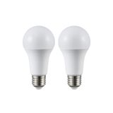 Cata Ct-4274 2’Li 100W Led Ampul E27 Duy Uzun Ömürlü Enerji Tasarruflu 6400K Soğuk Beyaz