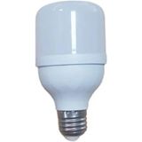 Cata CT-4329 15W Torch Ampul E27 Duy - 10 - 20 W - Beyaz