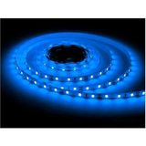 Cata CT-4480 mavi renk Şerit LED 5 mt 12 Volt 3750 Lm - 505 cm