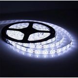 Cata CT-4480 Şerit LED 10 Çipli Beyaz Işık Iç Mekan 12V ( 15 Metre )