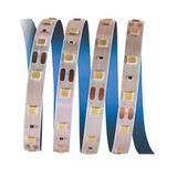 Cata Ct 4481 10 Çip Günışığı Iç Mekan Şerit LED 5m Aydınlatma