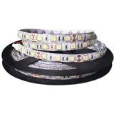 Cata CT-4483 10ç Iç Mekan Yeşil LED Şerit(5 Mt) Cata