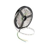 Cata CT-4485 8çip Amber Renk Iç Mekan LED Şerit Işığı Güçlü Aydınlatma Özelliği